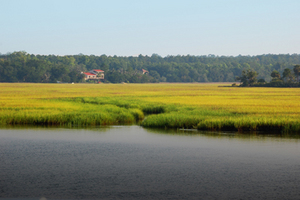 /assets/0000/6691/Sapelo_Marsh.jpg