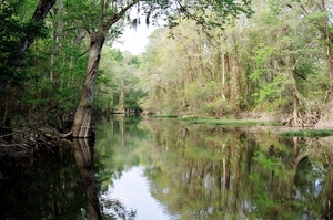 /assets/0000/6757/Ebenezer_Creek-web.jpg