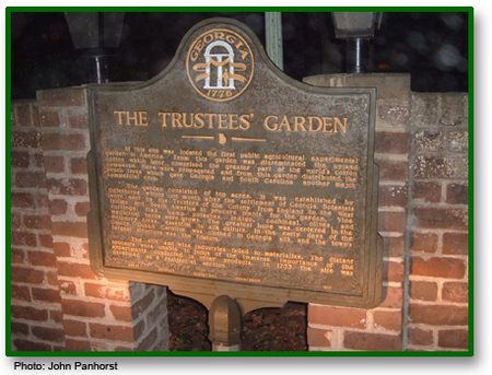 Trustees Garden