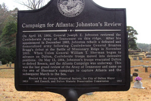 Campaign for Atlanta: Johnston's Review
