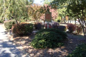 Confederate Camp Milner