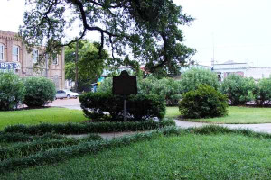 Evacuation of Savannah