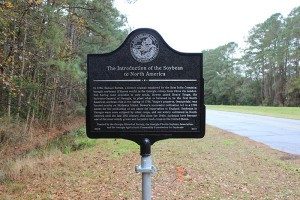 The Introduction of the Soybean to North America