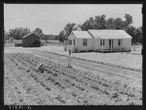 flint-river-farms