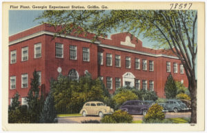 flint_plant_georgia_experiment_station_griffin_ga-_8367051635