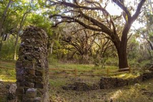 cannons_point_plantation