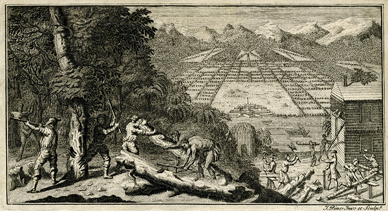24a_Colonist-Clearing-on-Hutchinson-Island